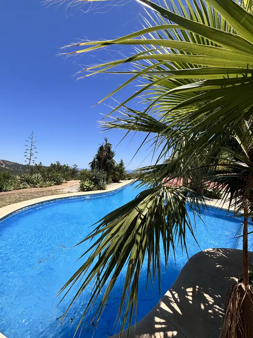 Casa amb terrassa en venda a Altos de Estepona