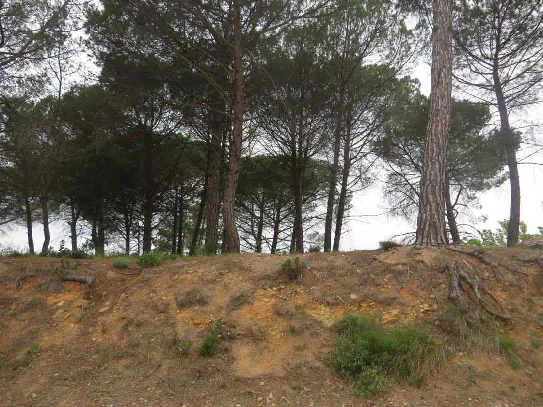 Wohnbaugrundstück zum Verkauf in Carrer de l'Oliver, imagen 6