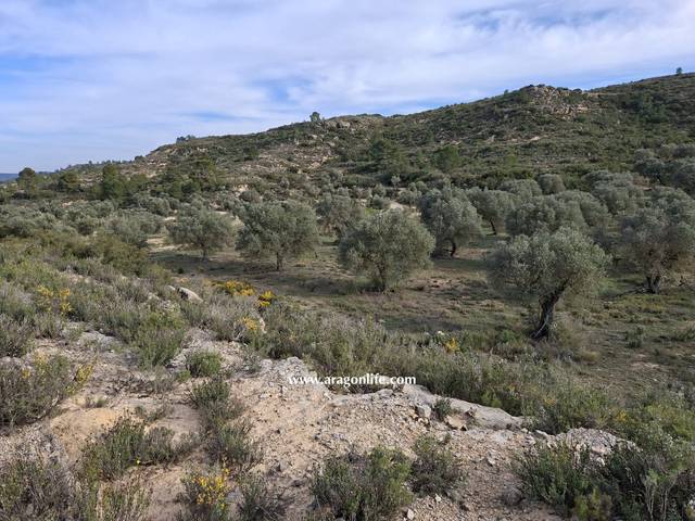 Terreno en Venta en Edificio Diseminados en Maella