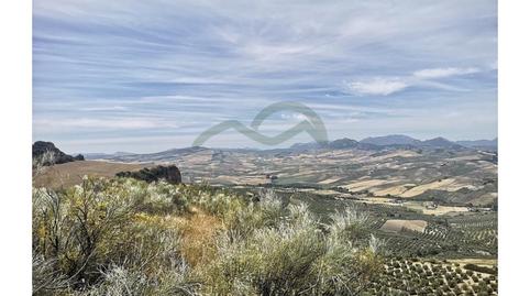 Foto 2 de Finca rústica en venda a Torre Alháquime, Cádiz