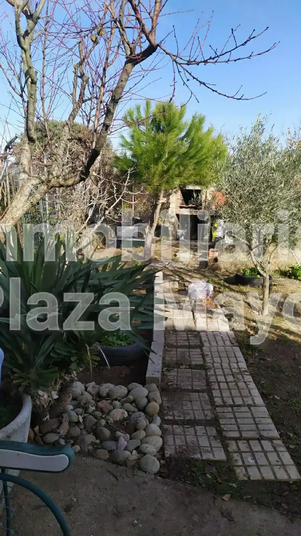 Jardín de Casa o chalet en venta en Calvarrasa de Arriba con Jardín privado