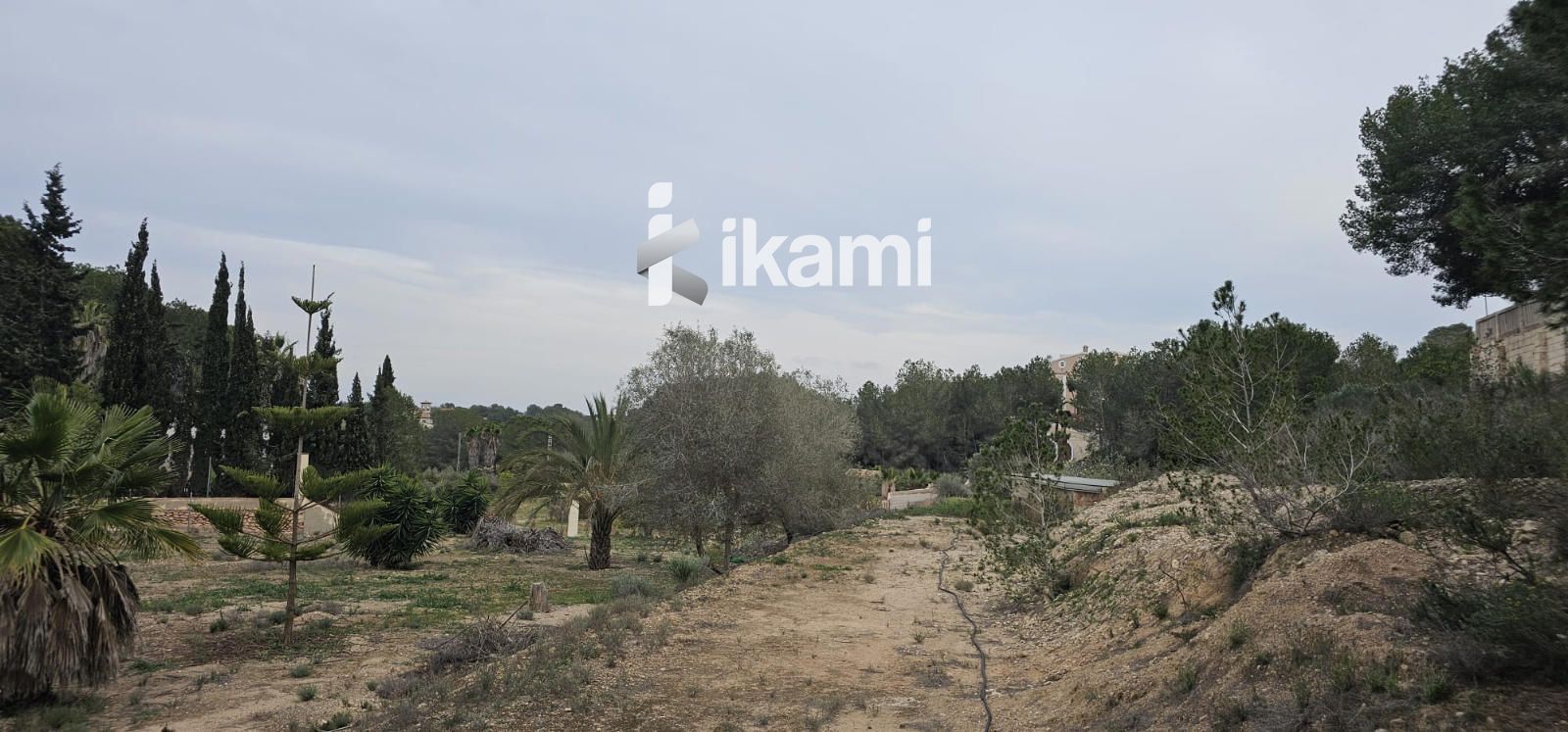 Land for sale in Pilar de la Horadada