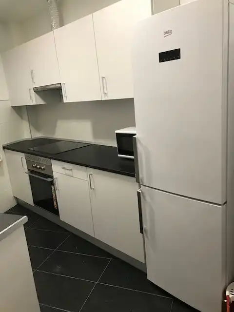 Kitchen of Flat for rent in Madrid  with Heating, Furnished and Oven