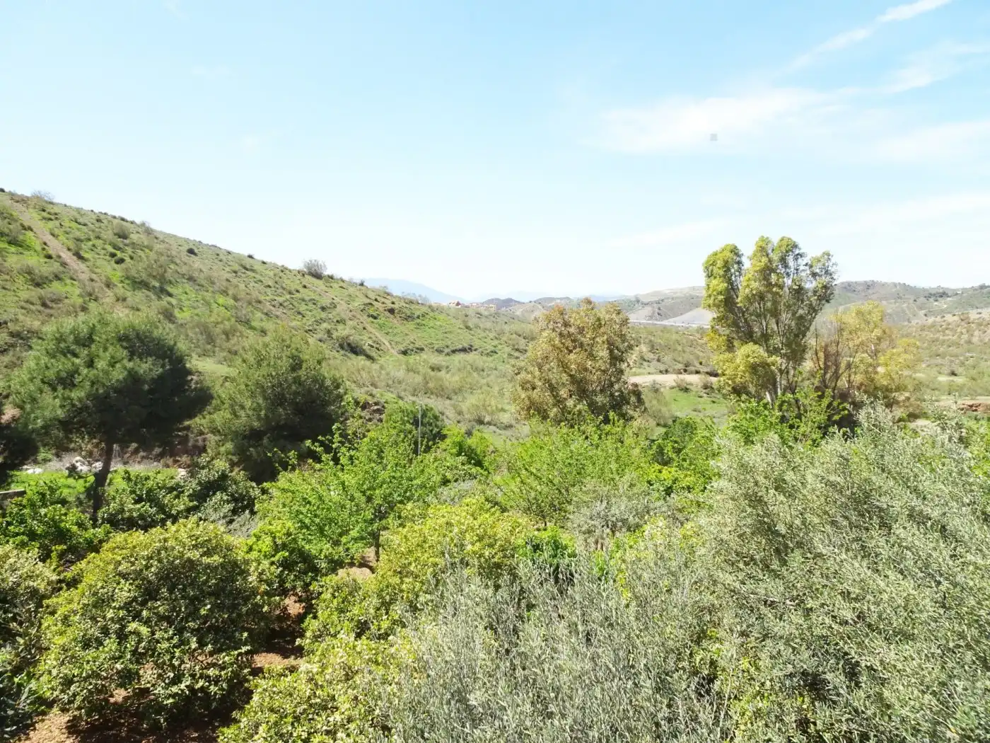 Casa con giardino in vendita a Puerto de la Torre - Atabal, imagen 5