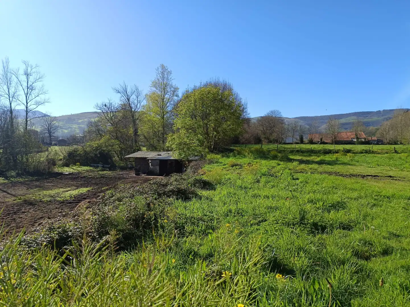 Terreni e lotti in vendita a Selaya - LA MIES, imagen 2
