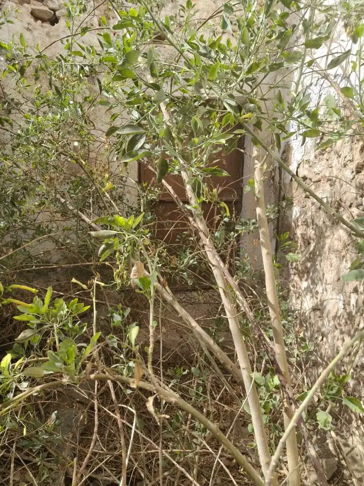 House for sale in De La Constitución, imagen 30
