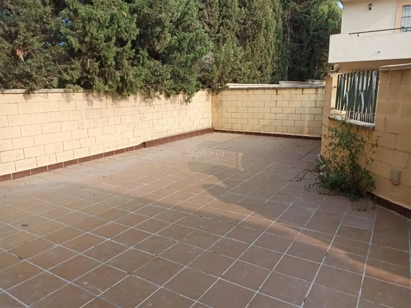 Flat for sale in Calle Ana Fernández 8, imagen 16