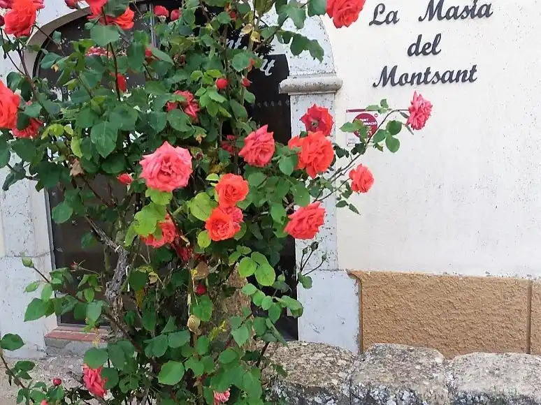 Casa rustica con giardino in vendita a Carrer Plaça 48