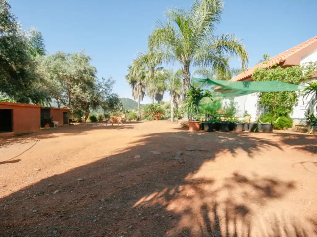 Garden of Houses for sale in Monda