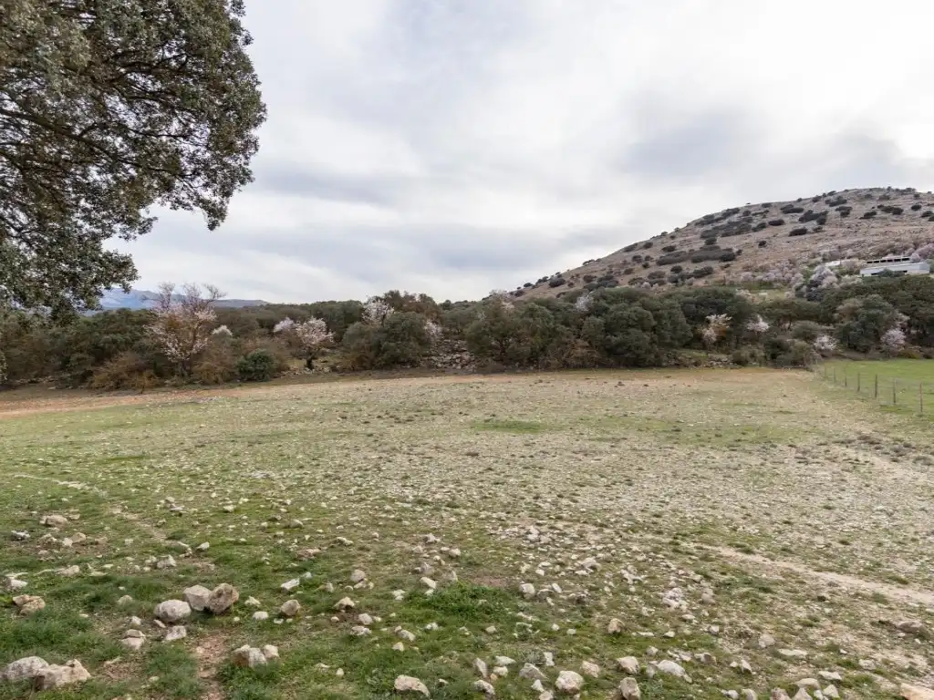 Maison à vendre à Alhama de Granada, imagen 13