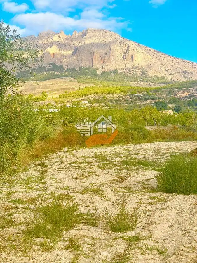 Terrenos y solares en venta en Vélez-Blanco, imagen 5