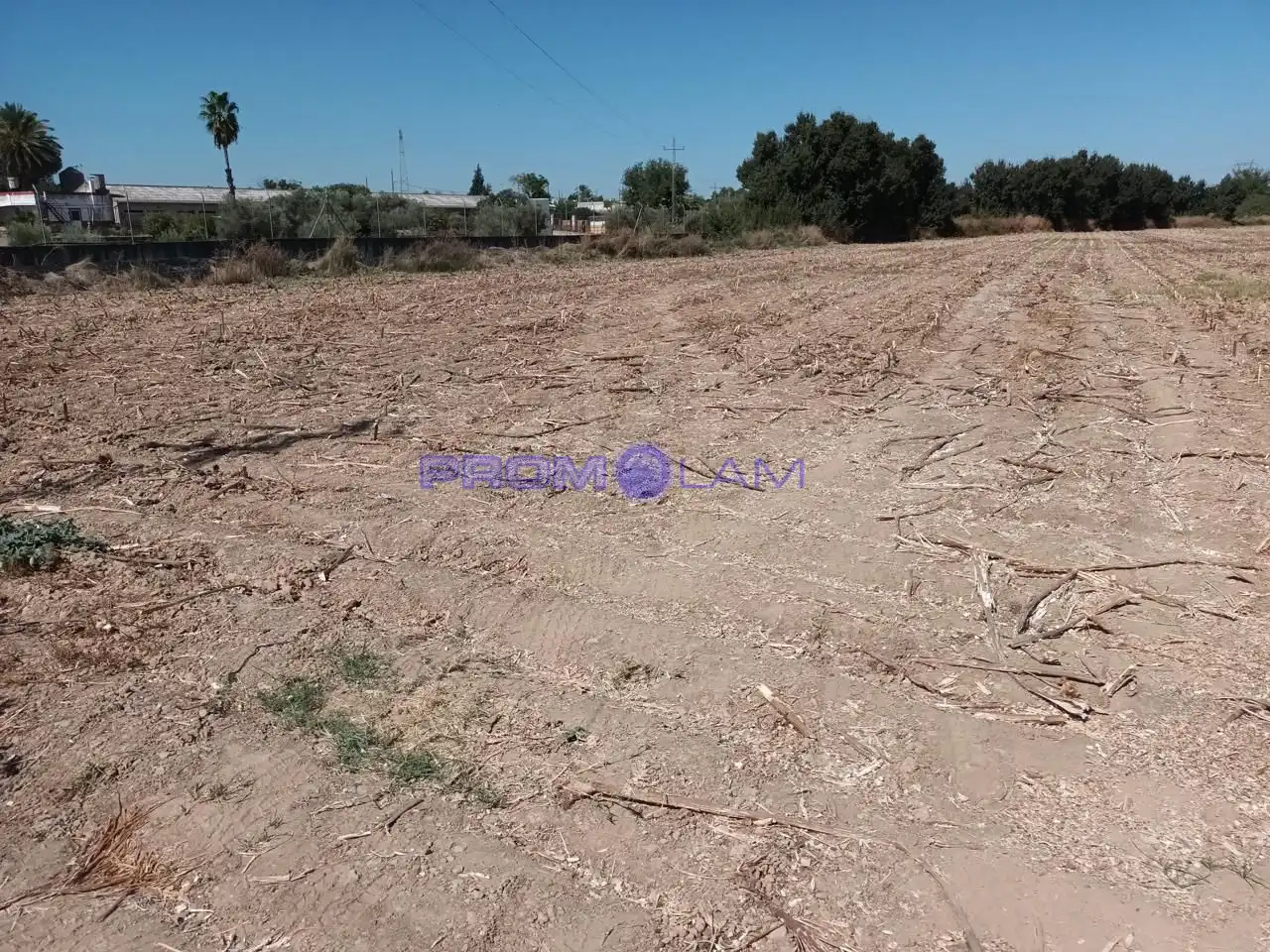 Lands and plots for sale in carretera, imagen 11