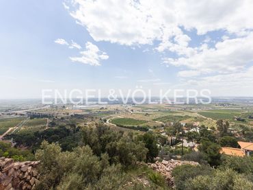 Terreni e lotti in vendita a Sagunto ciudad