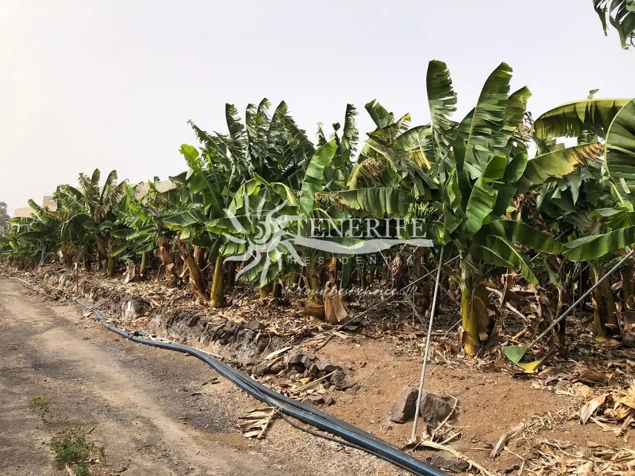 Finca rústica en venta en Guía de Isora con Jardín privado, Trastero y Amueblado