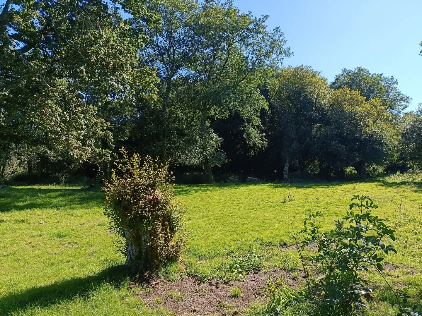 Casa o chalet en venta en Oza dos Ríos con Jardín privado y Trastero