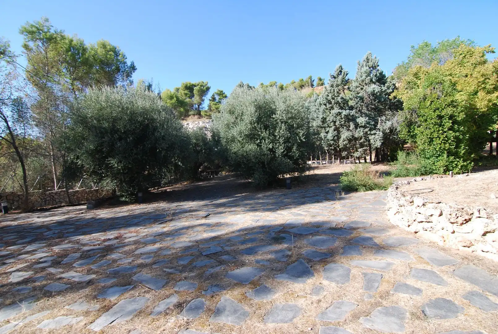 Garden of Houses for sale in Chinchón  with Air Conditioner and Heating