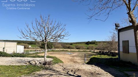 Foto 3 de Finca rústica en venda a Pilas, Sevilla