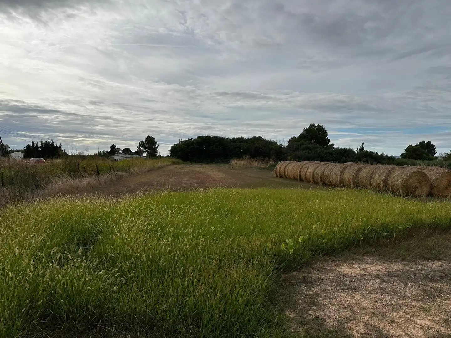 Land for sale in Albatàrrec