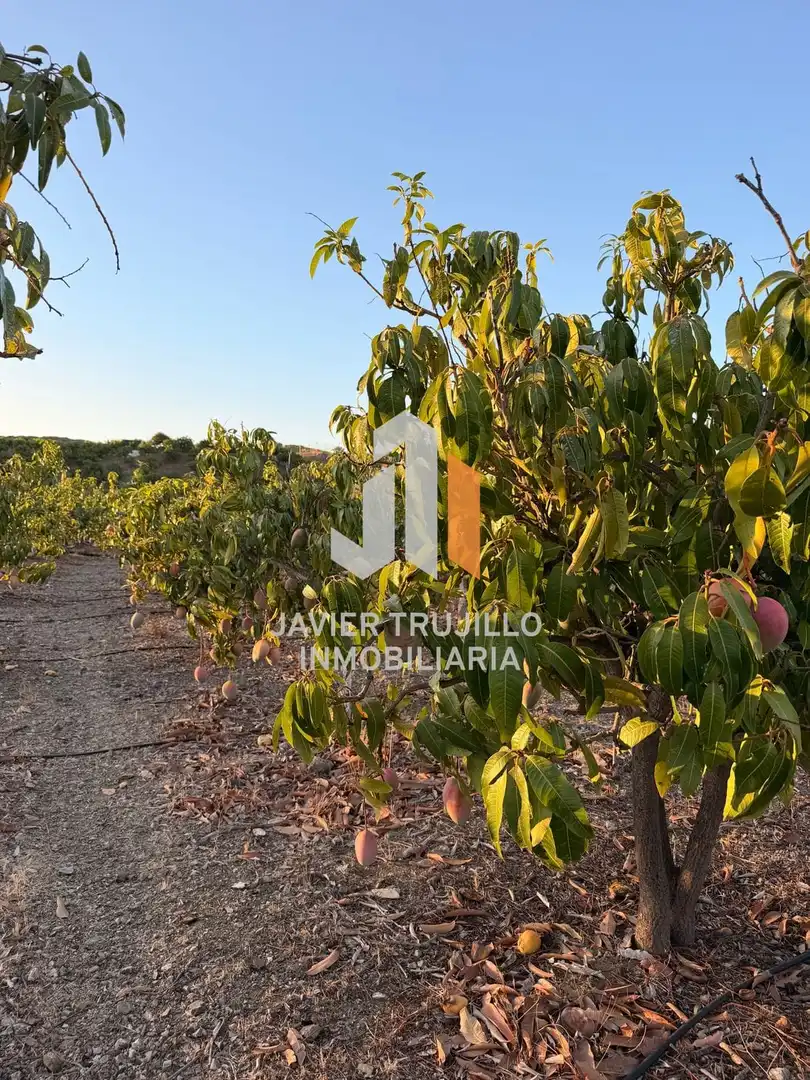 Country house for sale in Vélez-Málaga ciudad, imagen 26