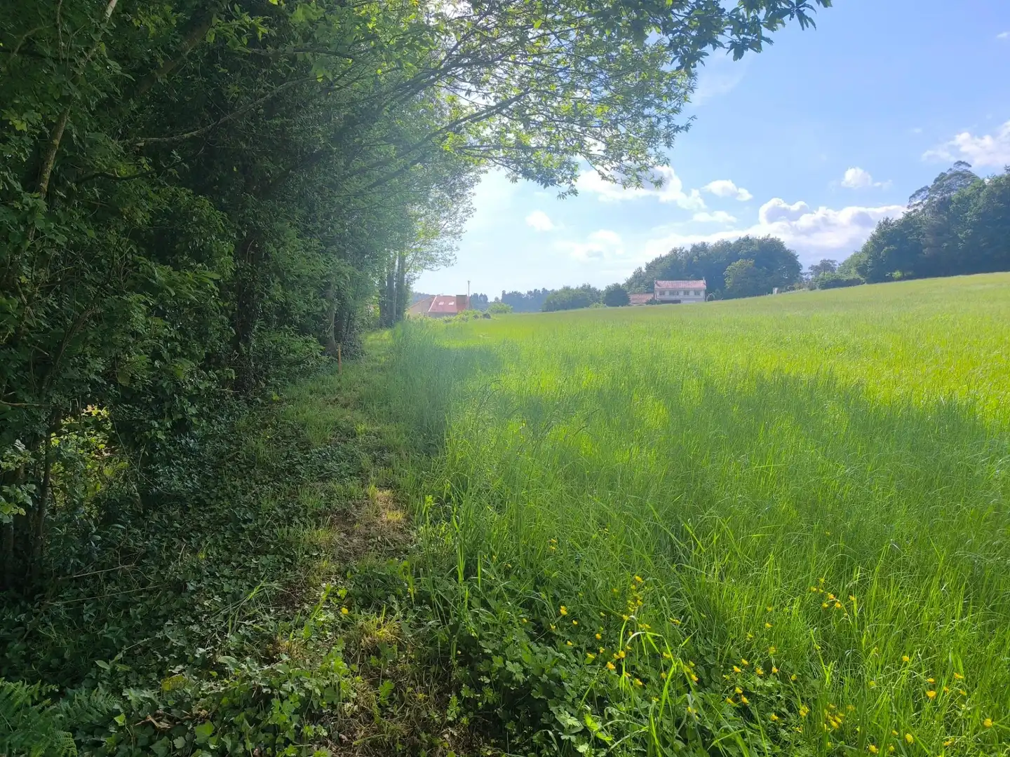Terreni e lotti in vendita a Lugar IGREXARIO EIXO, imagen 12