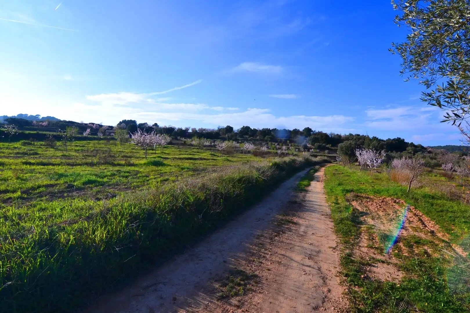 Rural land for sale in Gandesa, imagen 24