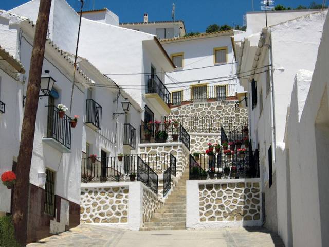 Finca rústica en Venta en Pablo Ruiz Picasso en Villanueva del Trabuco