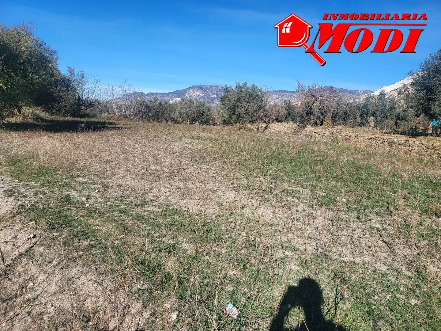 Lands and plots for sale in POLÍGONO 3 PARCELA 142 00, imagen 7