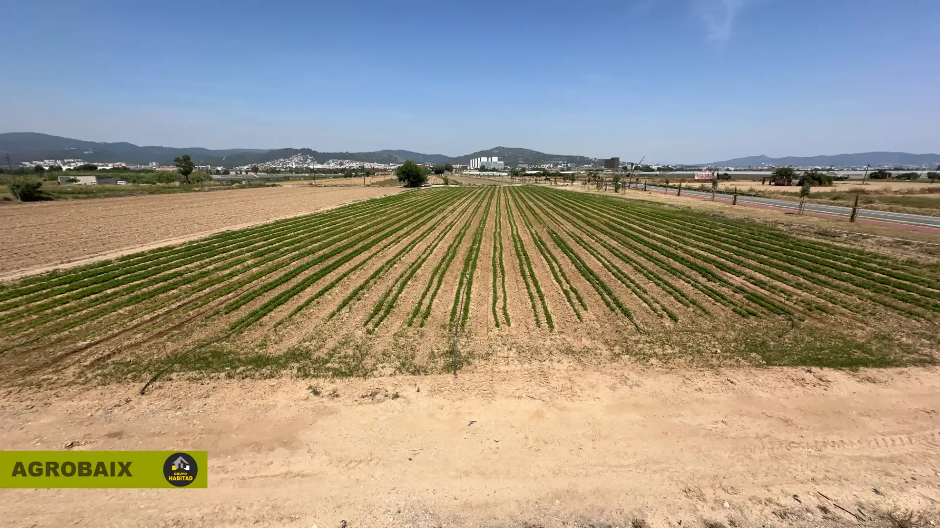 Terreno rustico in vendita a Vilamarina