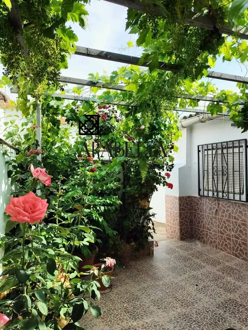 Jardín de Casa o chalet en venta en Fuente Obejuna con Trastero