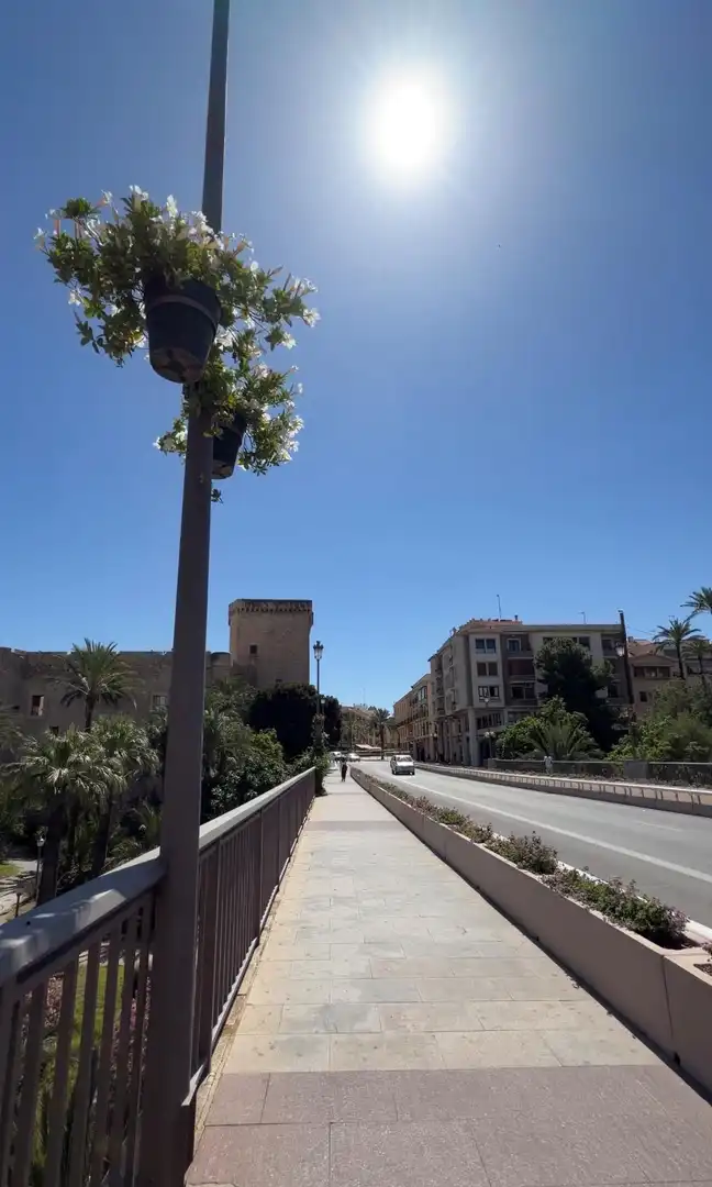 Appartement avec ascenseur à vendre à Elche ciudad, imagen 47