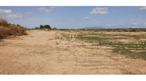Photo 4 of Land for sale in Gea y Truyols , La Torre Golf, Torre-Pacheco