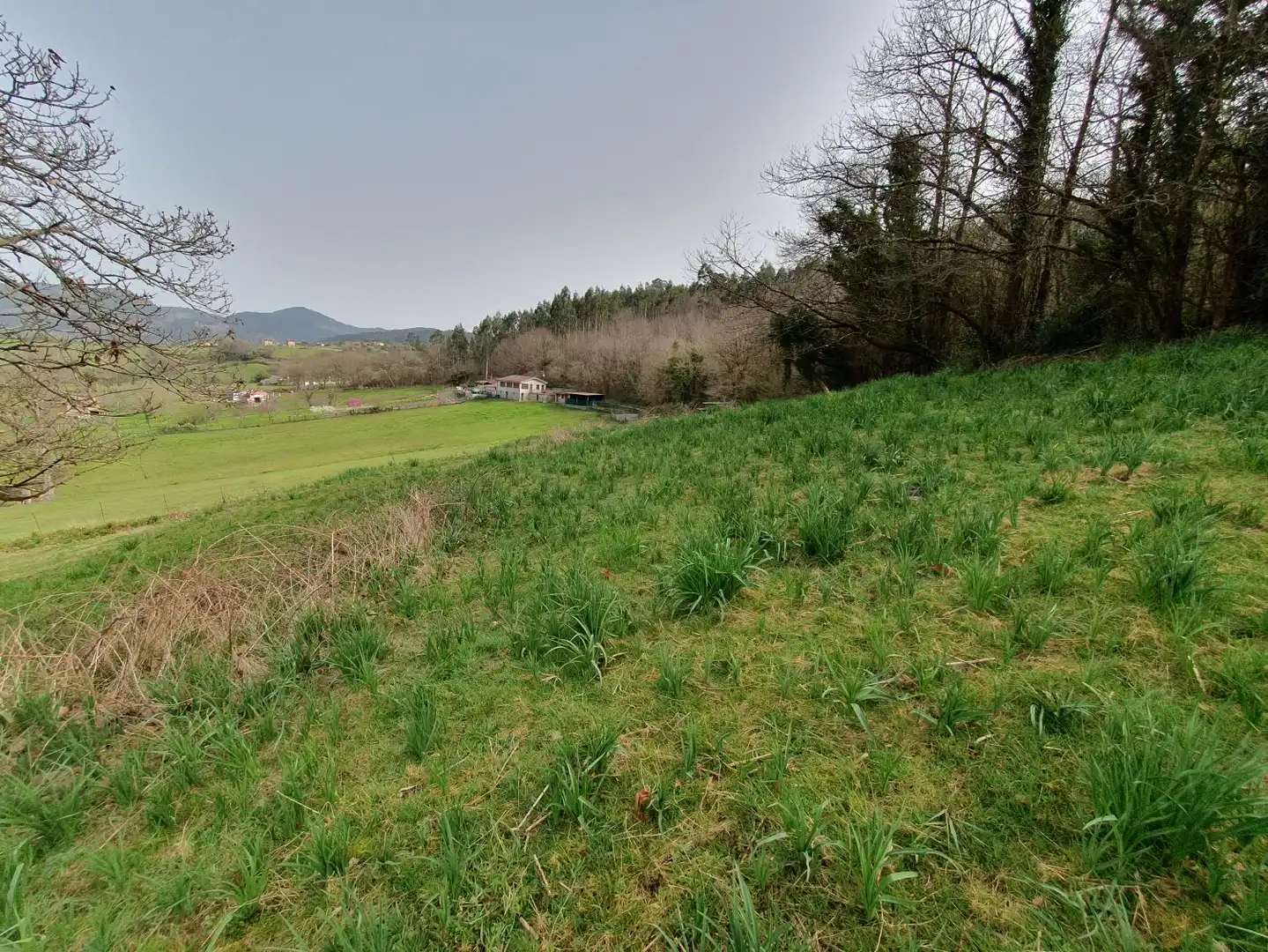Maison rustique à vendre à Grado, imagen 21