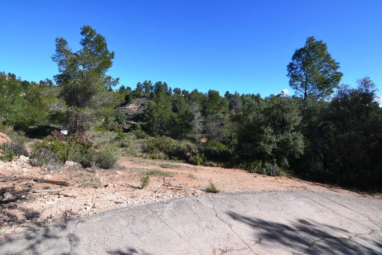 Rural land for sale in Ascó, imagen 49