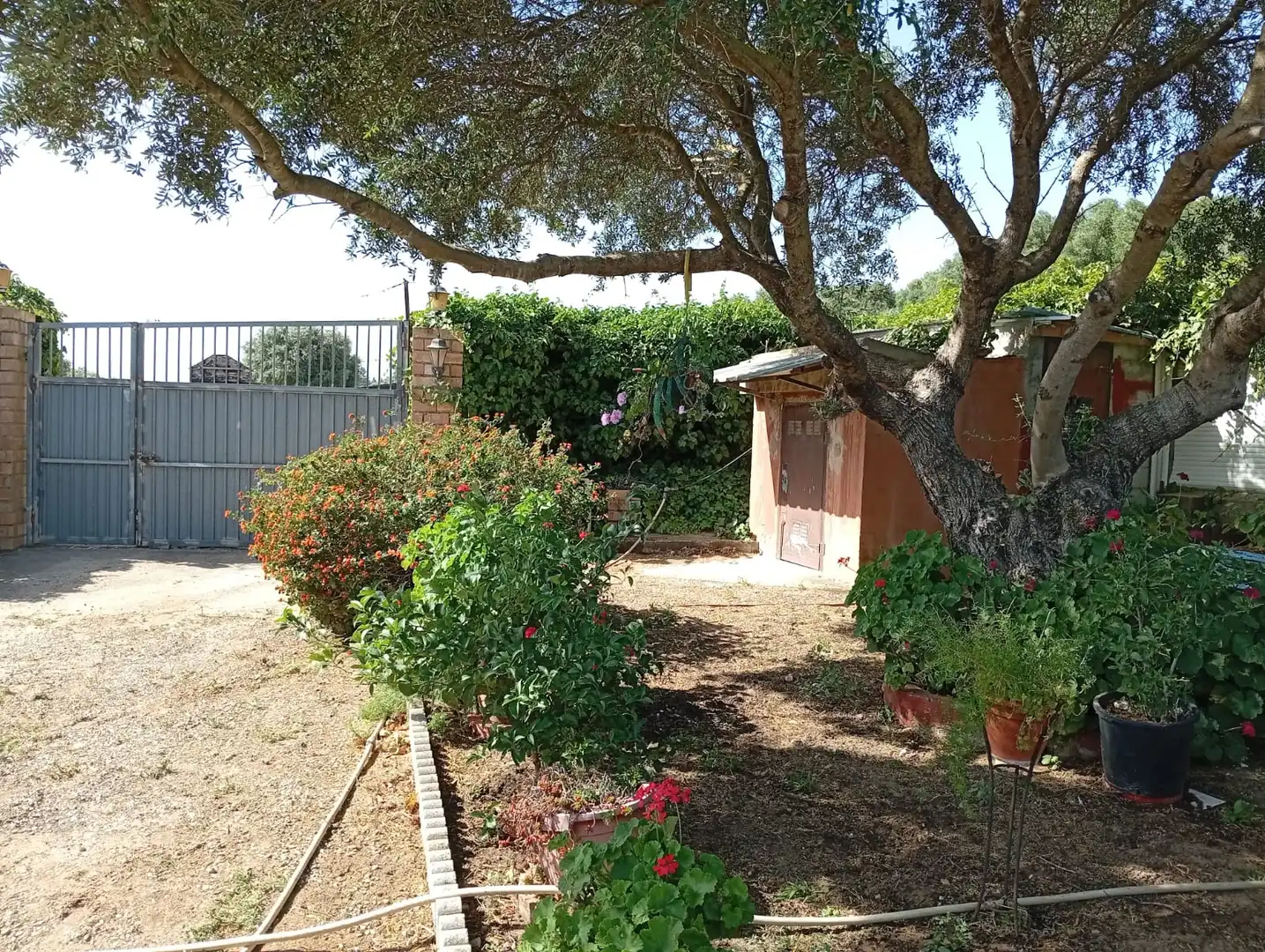 Jardín de Finca rústica de alquiler en Medina Sidonia con Jardín privado, Terraza y Amueblado