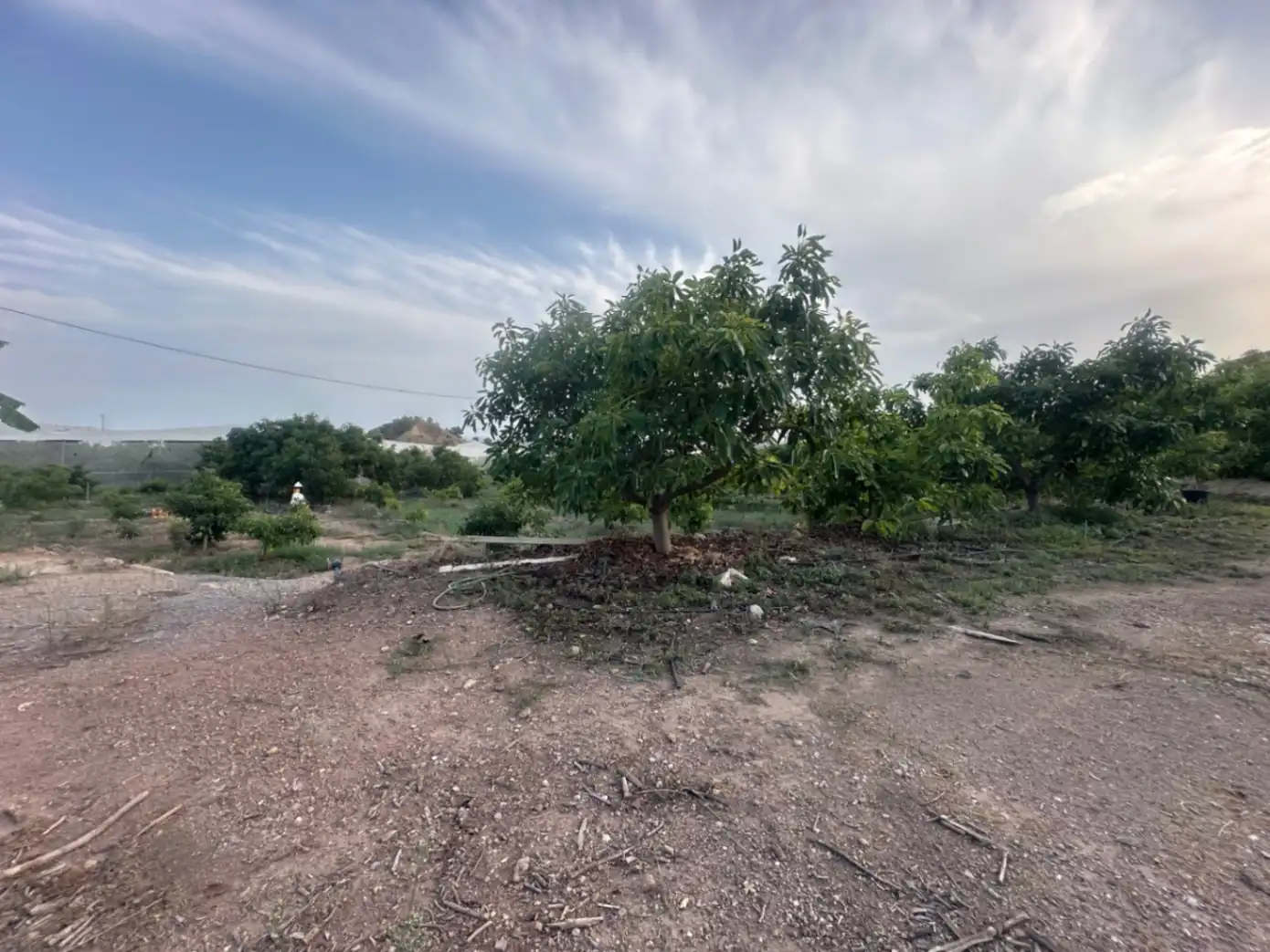 Finca rústica en venta en Callosa d'en Sarrià con Jardín privado, Terraza y Trastero