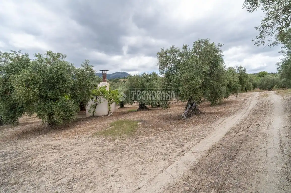 Terreni e lotti in vendita a Albaicín, imagen 26