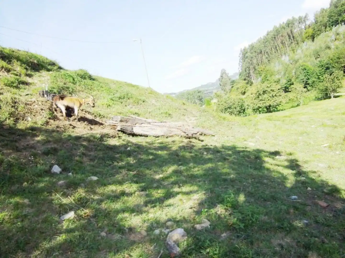 Casa o xalet en venda en Pravia