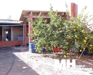 Jardí de Casa o xalet en venda en Benavites amb Aire condicionat, Calefacció i Jardí privat