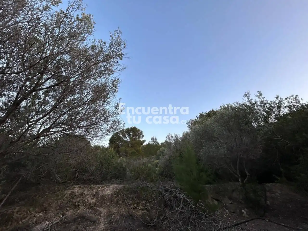 Terreno en venta en Villajoyosa / La Vila Joiosa