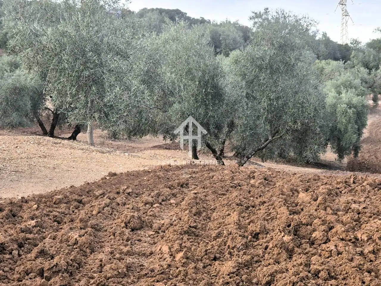 Terreny rústic en venda a Poligono ventorros de laguna 1, imagen 4
