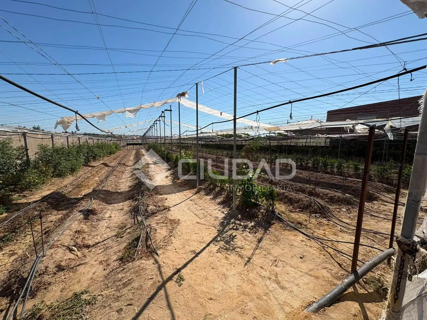 Terreno en venta en Sanlúcar de Barrameda