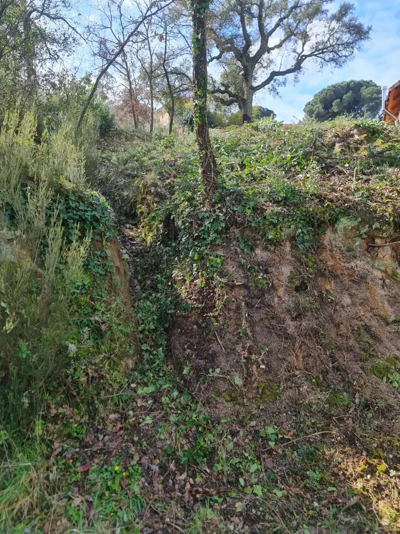 Terrenys i solars en venda a Maçanet de la Selva pueblo, imagen 4