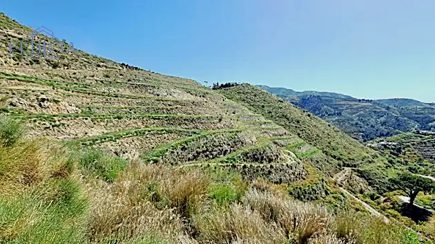 Terreni e lotti in vendita a El Rescate - Río Seco, imagen 7