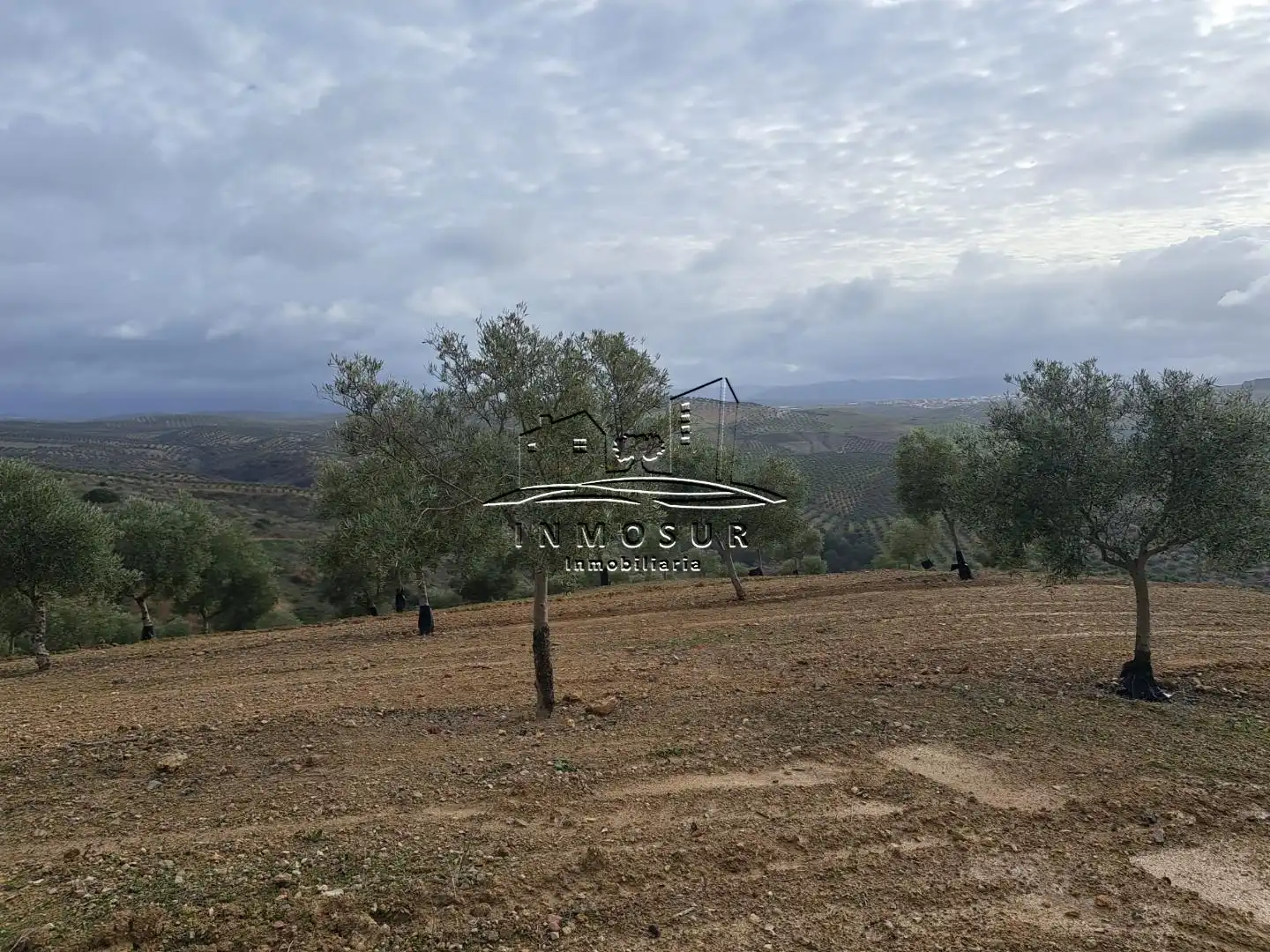 Terrenys i solars en venda a Benamejí, imagen 3