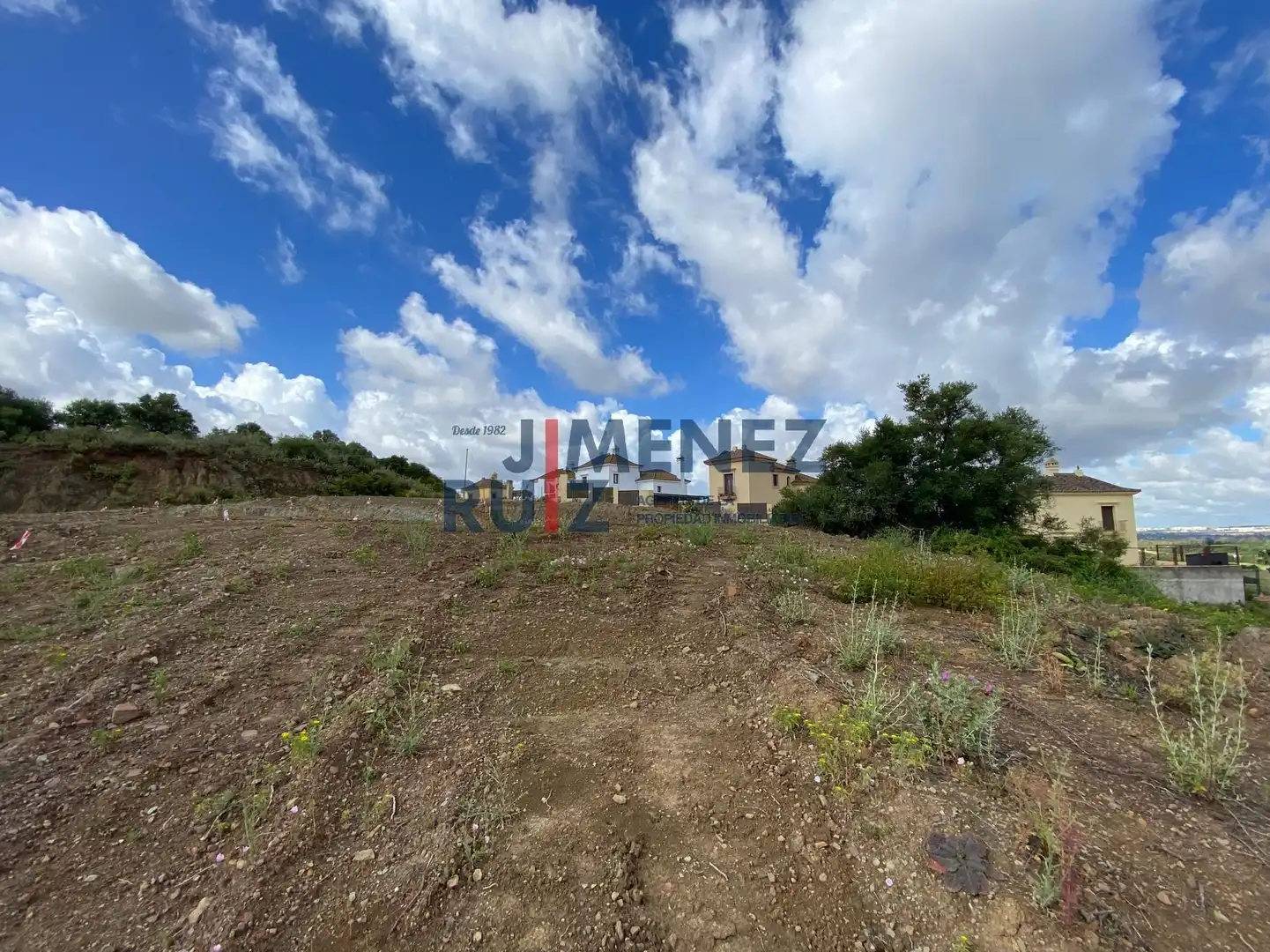 Terreno residencial en venta en El Rocío - La Milagrosa, imagen 10