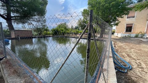 Se vende finca de 6.000 m² con olivares en producción, ideal para quienes buscan un entorno rural con posibilidades agrícolas y ha, imatge 2