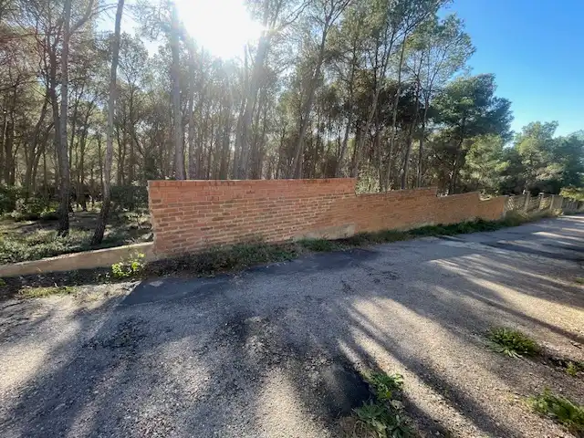 Rural land for sale in Sagunto ciudad, imagen 6
