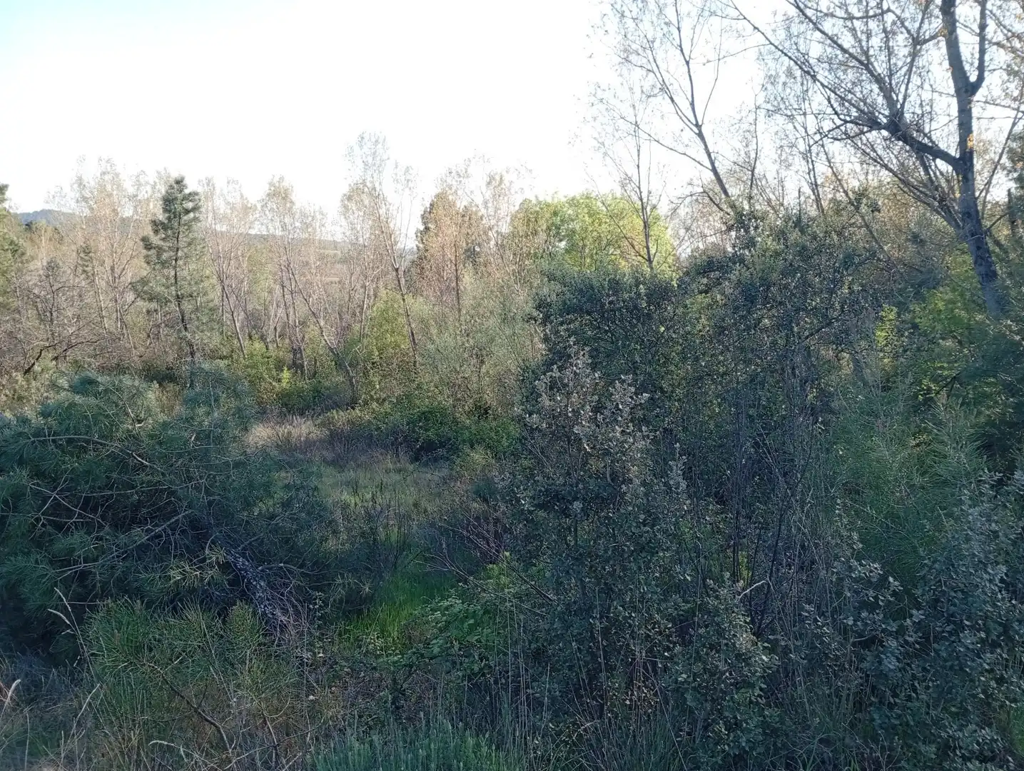 Terreni e lotti in vendita a Villanueva de la Vera, imagen 20