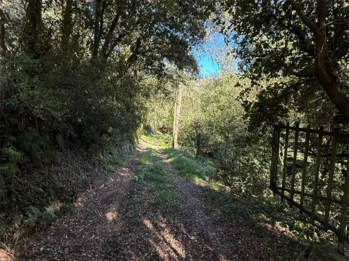 Casa o xalet en venda en Santa Pau