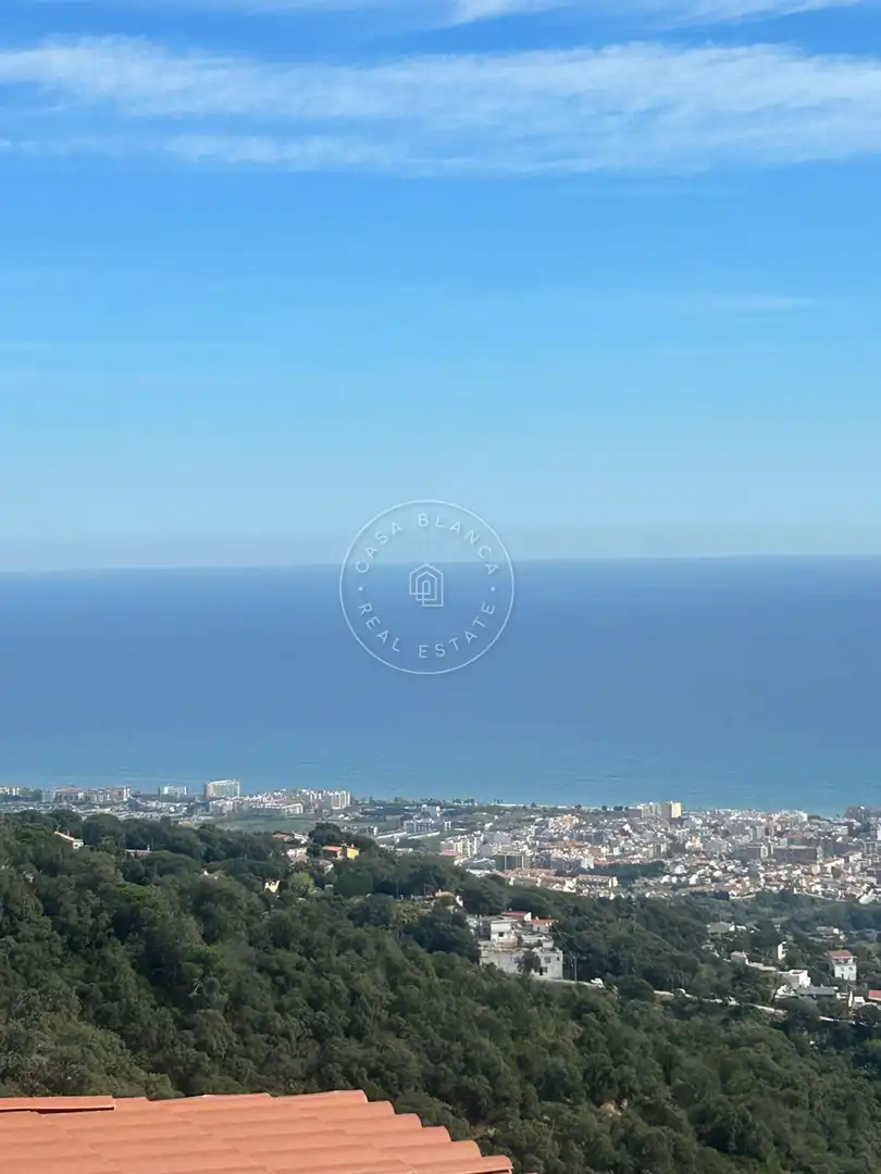 Exterior view of Houses for sale in Pineda de Mar  with Terrace